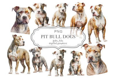 Pit bull dogs clipart