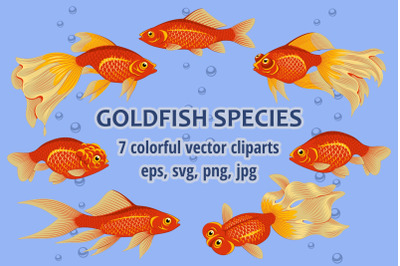Goldfish Species Cliparts Set