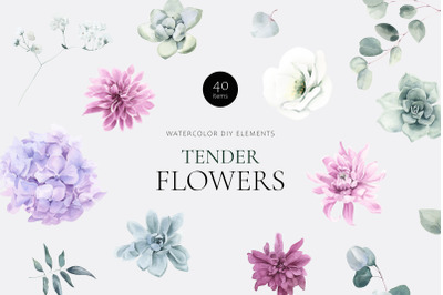 Tender Flowers Watercolor Elements