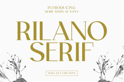 Rilano Serif Display Font