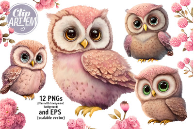 Owls with Flowers Bundle 12 PNGs  EPS Illustrations for Any Project