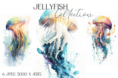 Jellyfish watercolor illustrations collection
