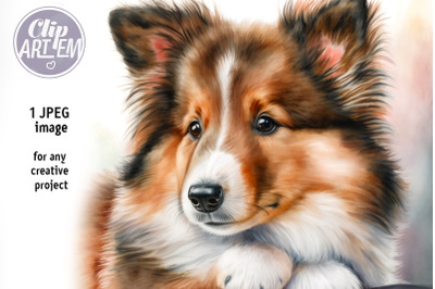 Shetland Sheepdog Puppy Digital JPEG Image Painting Print Decor