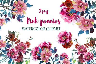 Pink peonies watercolor clipart