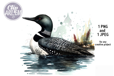 Watercolor Loon Painting PNG and JPEG Images Illustration  Wall Art
