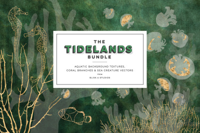 The Tidelands Bundle: Aquatic Background Textures, Coral &amp; Sea Life
