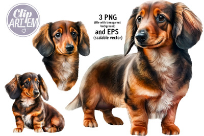 Dachshund Sausage Dog Clip Art PNG Images Watercolor Digital Print