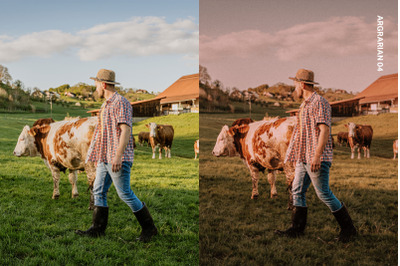 Pastoral Aesthetic Presets and LUTs