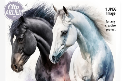 Black and White Horses Home Decor JPEG Digital Print Image Watercolor