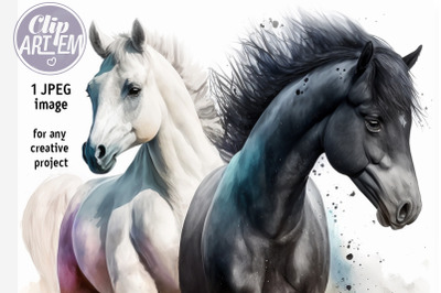 Black and White Horse Digital JPEG Image Wall Art Painting Picture