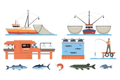 Sea food industry. Sea delicacies extraction process, valuable fish ar