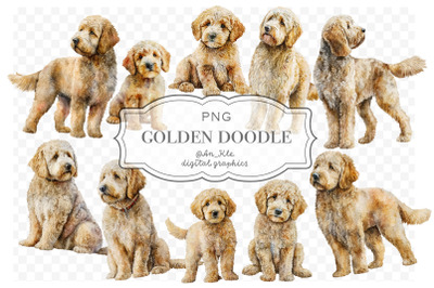 Goldendoodle Dog Watercolour Clipart