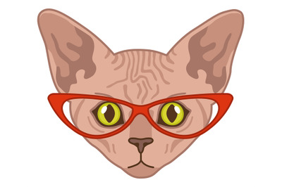 Sphynx cat head. Funny character in red glasses&2C; domestic animal portr