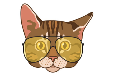 Cat head. Funny hipster avatar with yellow glasses, cute animal portra