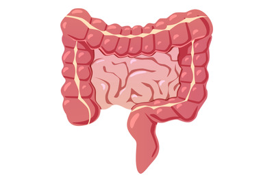 Intestines cartoon icon. Gut symbol. Digestive organ