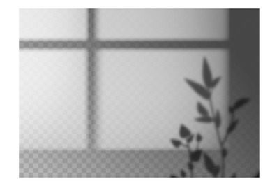 Realistic shadow overlay. Leaves and window frame monochrome&2C; plant br