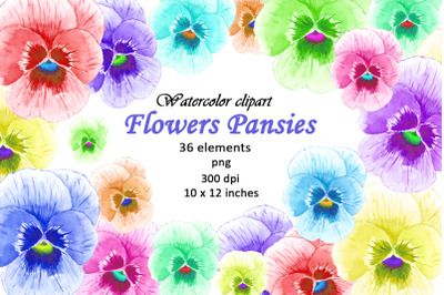 Watercolor Flowers Clipart Pansies PNG
