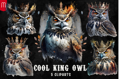 Cool King Owl Sublimation Bundle