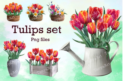 Tulips Set