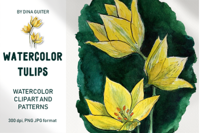 WATERCOLOR WILD TULIPS CLIPART AND PATTERNS. FLORAL DIGITAL SET PNG