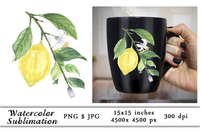 Watercolor Lemons Flower Sublimation PNG
