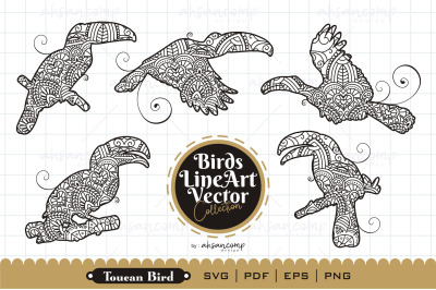 Toucan Line Art Vector