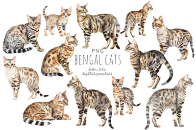 Bengal Cats Watercolour Clipart