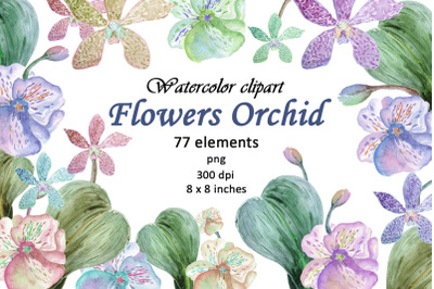 Watercolor Flowers Orchid Clipart PNG
