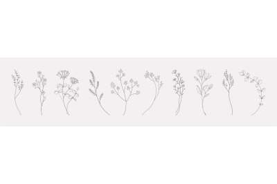 Botanical drawing. Minimal plant logo, meadow greenery, leaf and flowe