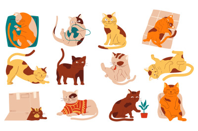 Doodle cats. Funny home pets walking sleeping playing and stretching&2C;