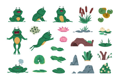 Frog. Cartoon amphibian with pond and river plants. Growth steps of li