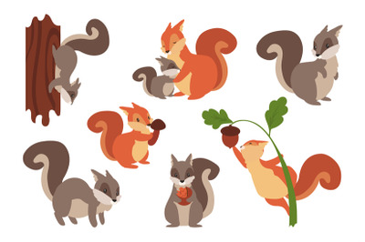 Squirrel. Cartoon wild furry animals playing with nuts and acorns, cli