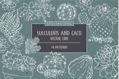 Succulents and cacti vector line