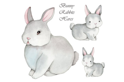 Cute bunny rabbits, sitting. Easter bunny. Watercolor art.