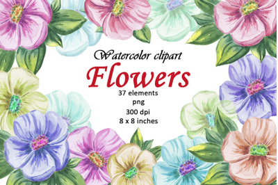 Watercolor Flower Summer Clipart PNG Set