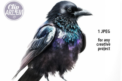 Portrait of the Raven Bird Watercolor JPEG Digital Image Wall Art