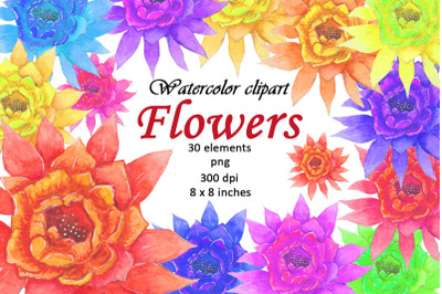 Watercolor Flowers Summer Clipart PNG. Cactus flower tropical