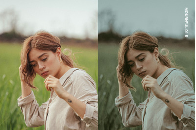 Melancholy Presets and LUTs