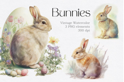 Vintage Watercolor Bunny Animals Clipart