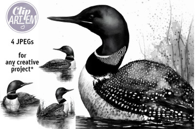 Black and White Loons Swimming in the Lake Watercolor 4 JPEG Images