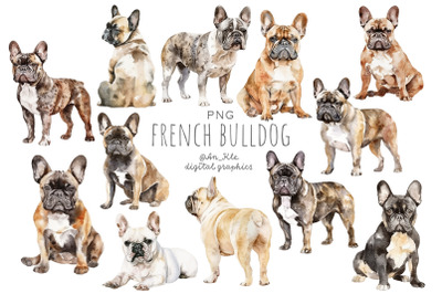 French bulldog clipart png