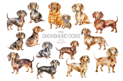 Dachshund dogs png watercolour