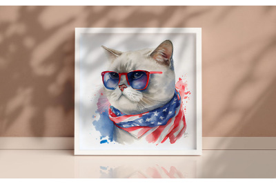 4th of July British Shorthair Cat