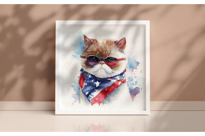 4th of July Exotic Shorthair Cat