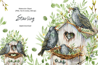 Starling bird family, watercolor clipart, spring birdhouse, seamless d