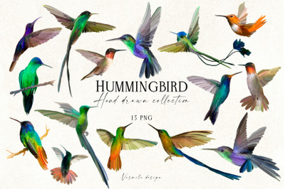 Hummingbird Hand Drawn Clipart PNG