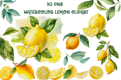 Watercolor yellow lemon clipart,  citrus fruits