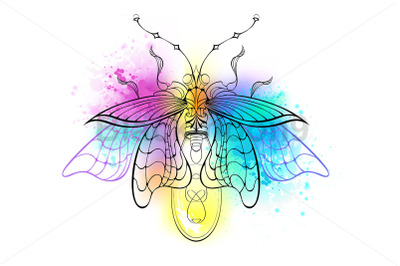 Contour firefly on watercolor background