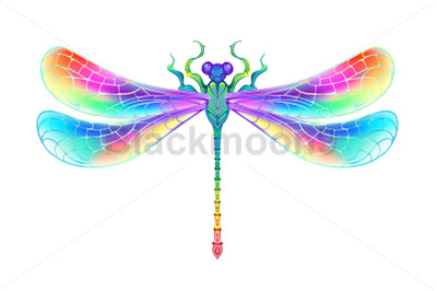 Rainbow symmetrical dragonfly