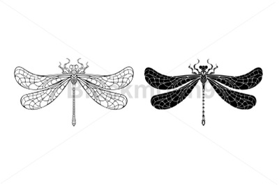 Patterned contour dragonfly